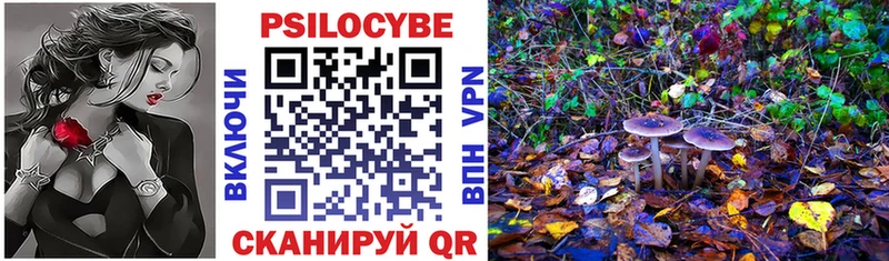 Купить закладки  Людиново  Псилоцибиновые грибы мухоморы 